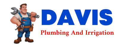 Trusted plumber in ALLEENE